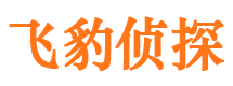 河北侦探公司